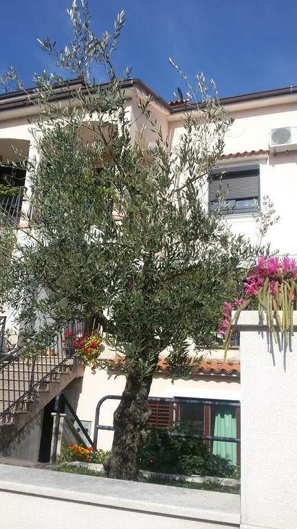 Apartment Ljubica Vrsar Exterior photo