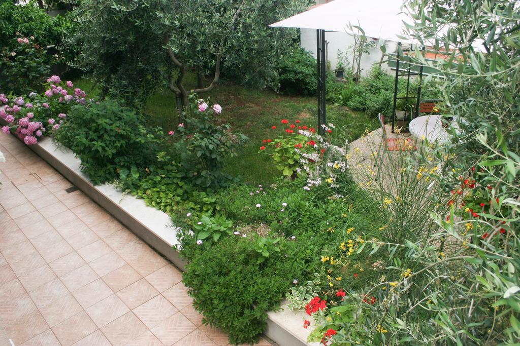Apartment Ljubica Vrsar Exterior photo